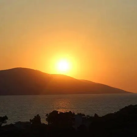 Jazoj Vlore