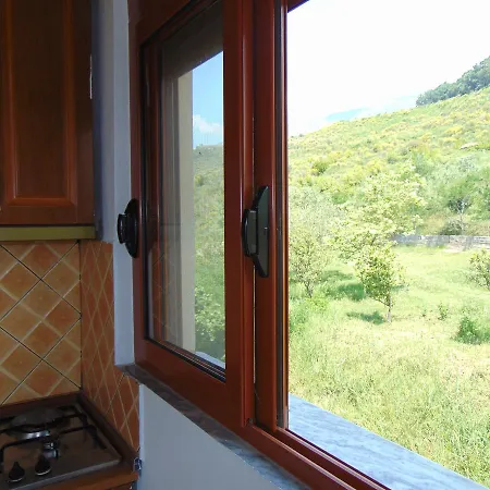 Jazoj Vlore