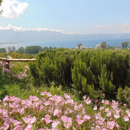 Jazoj Vlore