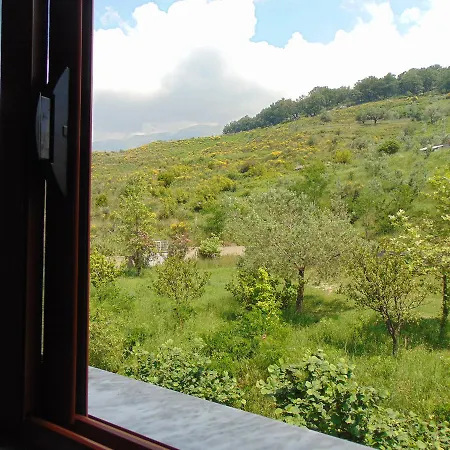 Guest house Jazoj 4*