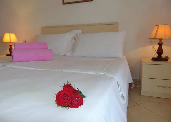 招待所 嘉左住宿旅馆 4*